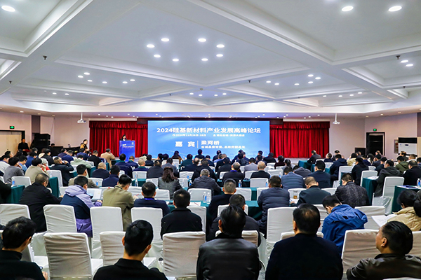 頂立科技參加硅基新材料高峰論壇，分享高純石英制備熱工裝備最新技術(shù) (2).jpg